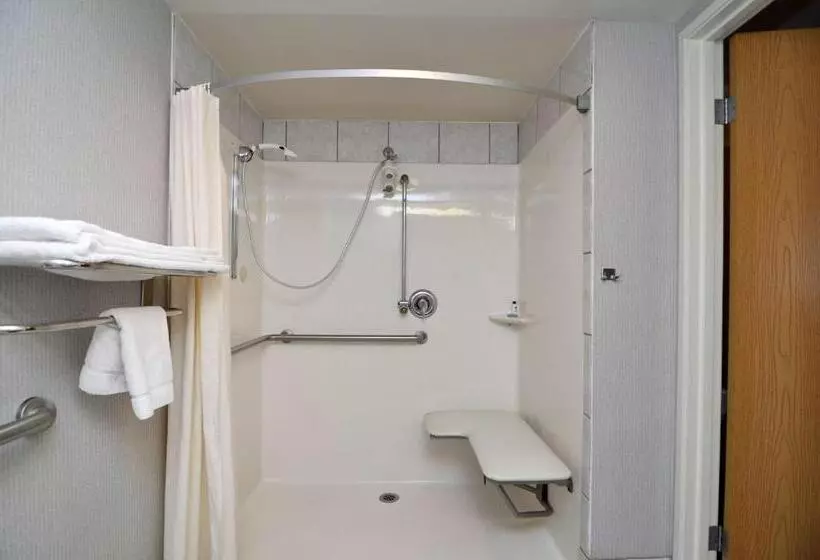 身障者適用キングサイズベッドルーム, Best Western Borger Inn