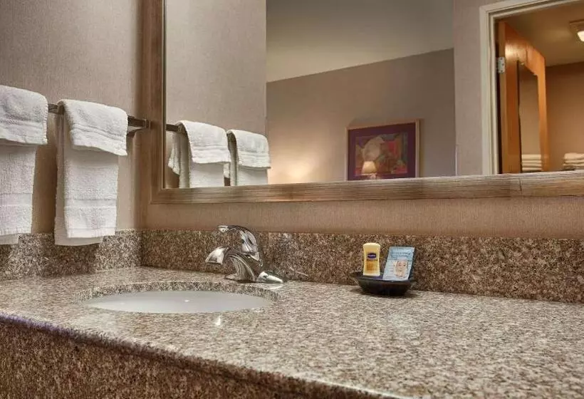 身障者適用キングサイズベッドルーム, Best Western Borger Inn