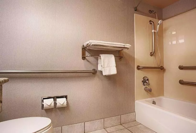 身障者適用キングサイズベッドルーム, Best Western Borger Inn
