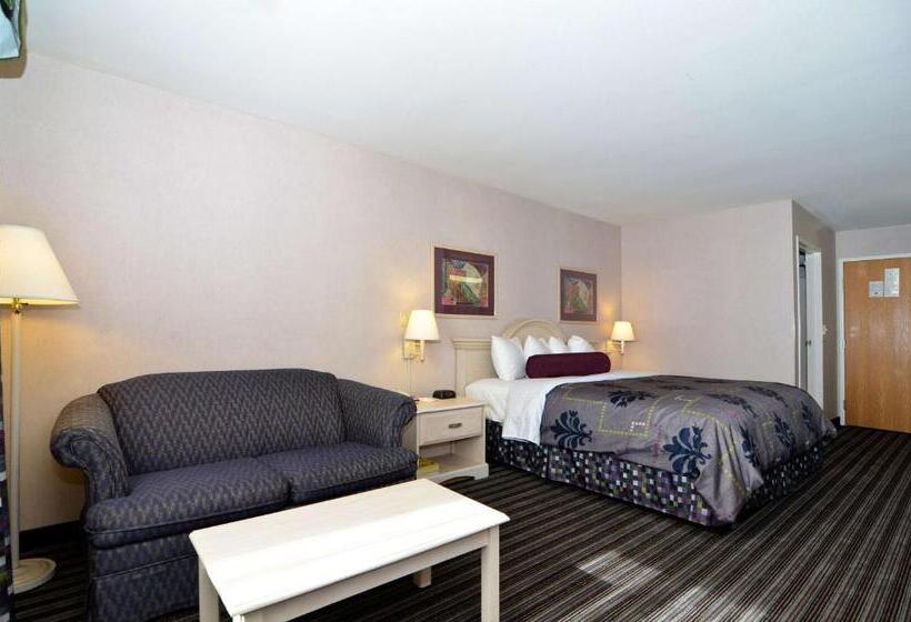 适合残疾人士使用的带超级大床的标准间, Best Western Borger Inn