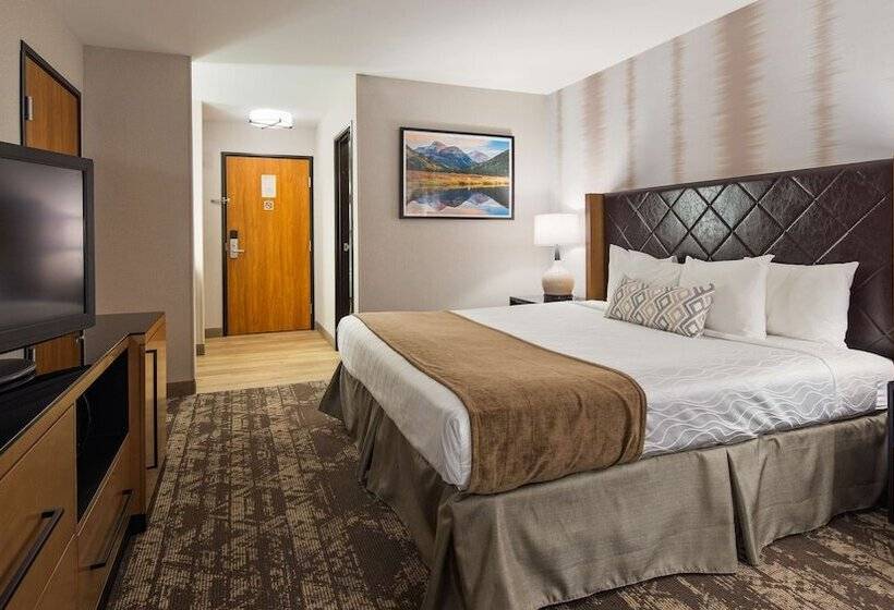 חדר סטנדרט מיטה זוגית, Best Western Holiday Hills
