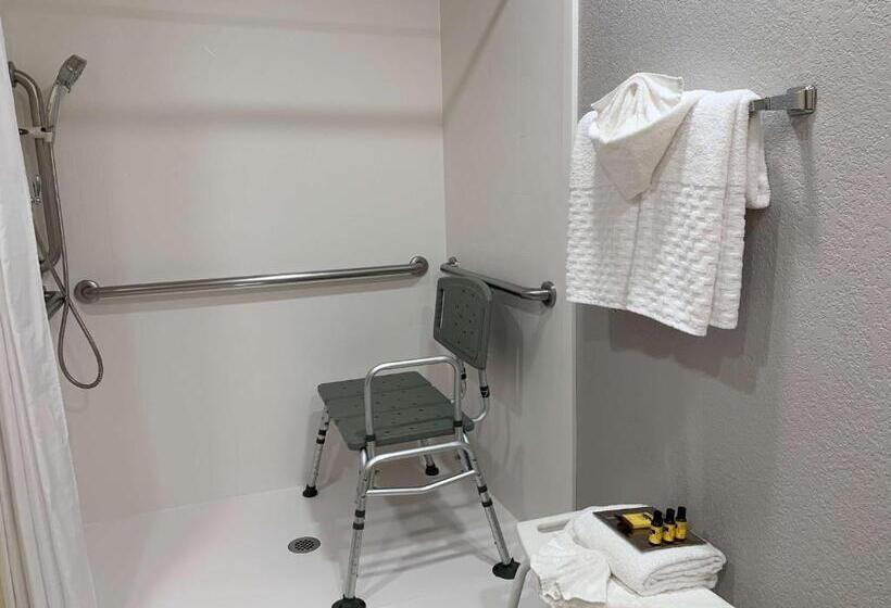 适合残疾人士使用的带超级大床的标准间, Best Western Plus Oklahoma City Yukon