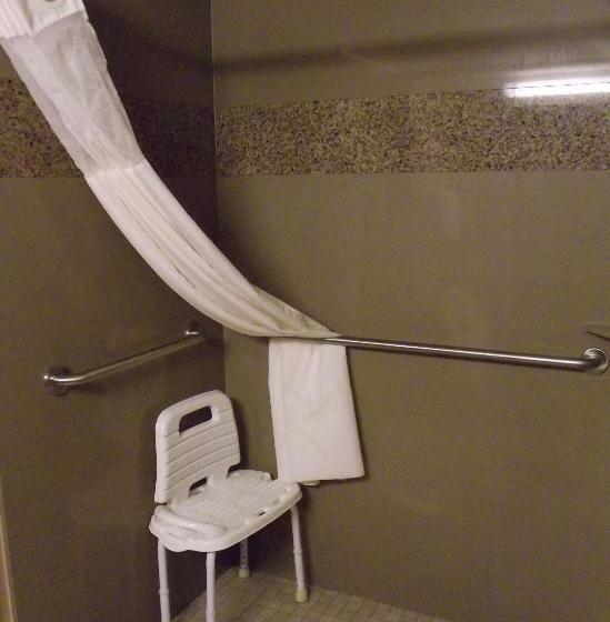 غرفة قياسية لذوى الاحتياجات الخاصة, Best Western Woodland Inn