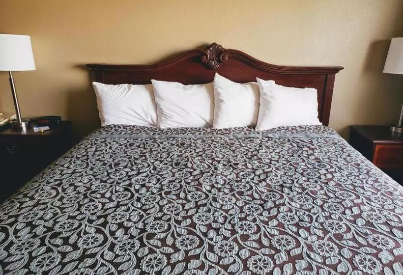 キングサイズベッドのデラックススイート, Days Inn & Suites By Wyndham Of Morris