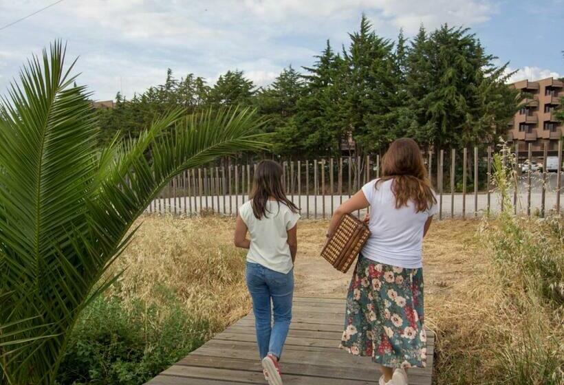 اتاق استاندارد, Evora