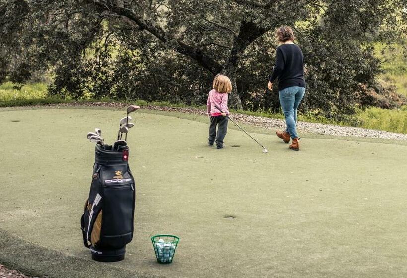 اتاق استاندارد, Evora