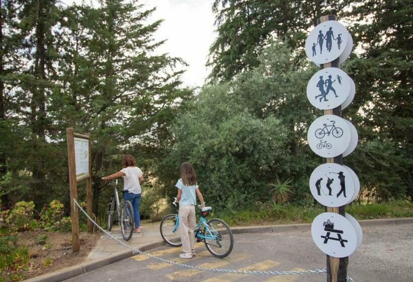 اتاق خانوادگی, Evora