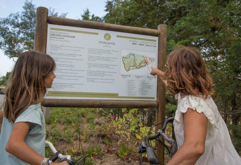 اتاق خانوادگی, Evora