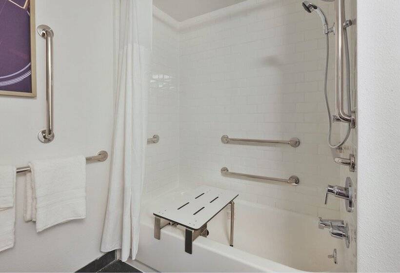 סוויטה, Indigo Detroit Downtown, An Ihg