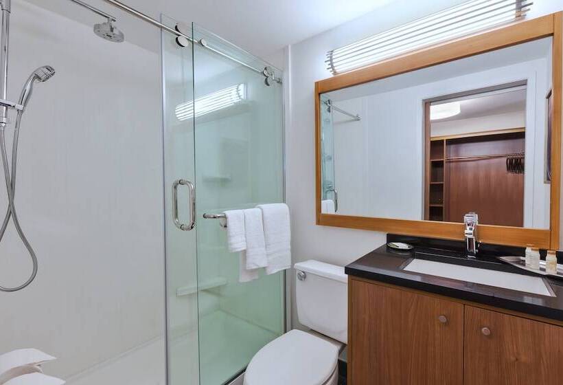 חדר סטנדרט שתי מיטות זוגיות, Indigo Detroit Downtown, An Ihg