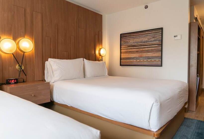 חדר סטנדרט, Indigo Detroit Downtown, An Ihg