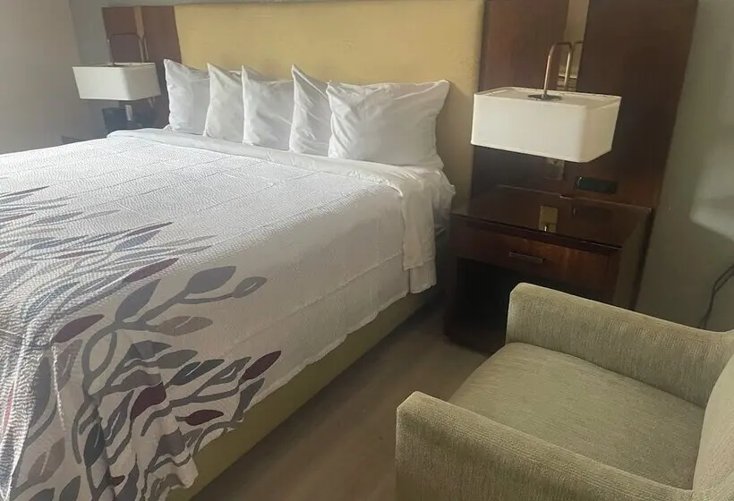 اتاق دلوکس مخصوص معلولین, Red Roof Inn & Suites Hinesville