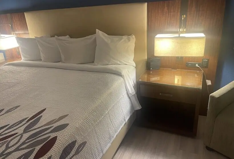 اتاق لوکس, Red Roof Inn & Suites Hinesville