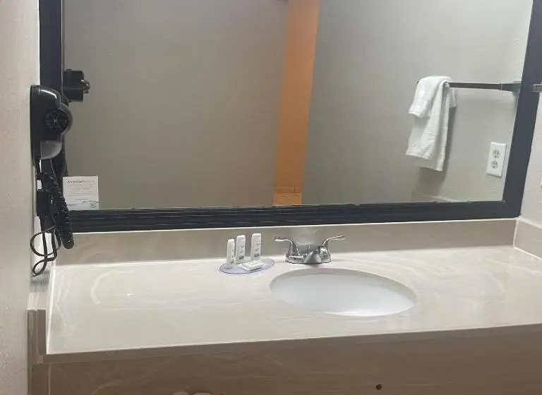 اتاق سوپریور با تخت بزرگ, Red Roof Inn & Suites Hinesville