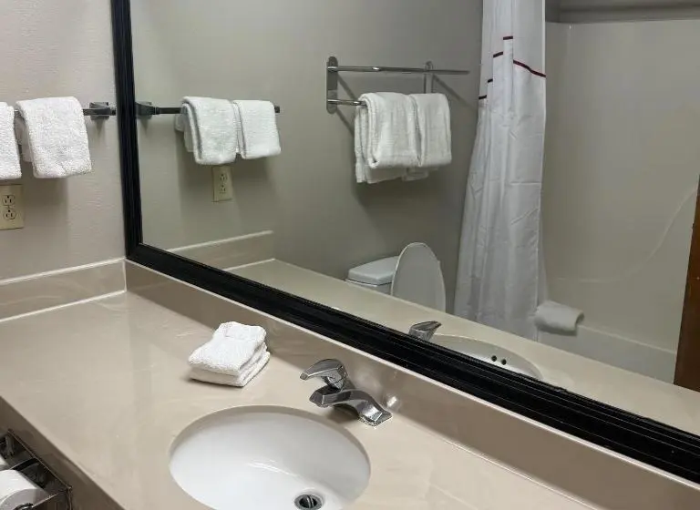 اتاق سوپریور با تخت بزرگ, Red Roof Inn & Suites Hinesville