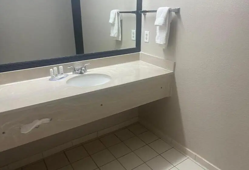 اتاق لوکس با تخت بزرگ, Red Roof Inn & Suites Hinesville