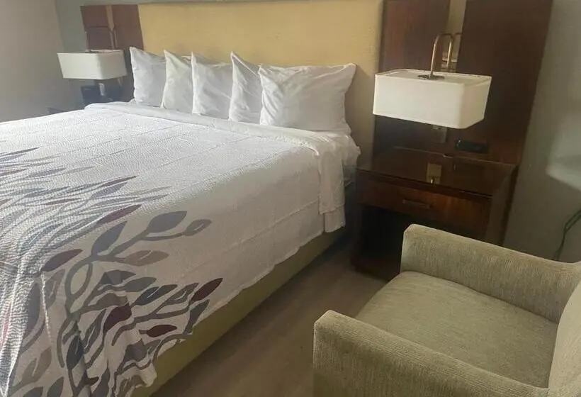 اتاق لوکس با تخت بزرگ, Red Roof Inn & Suites Hinesville