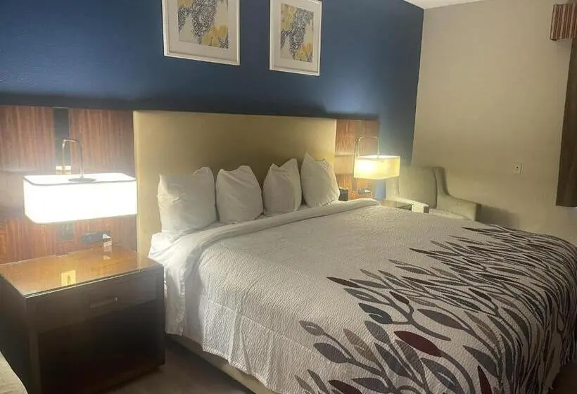 سوئیت با تخت بزرگ, Red Roof Inn & Suites Hinesville