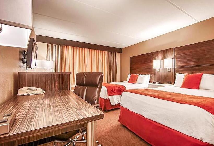 スタンダードルーム, Sonesta Essential Orlando