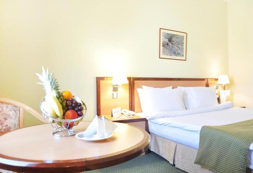 اتاق استاندارد یک نفره, Best Western Sur