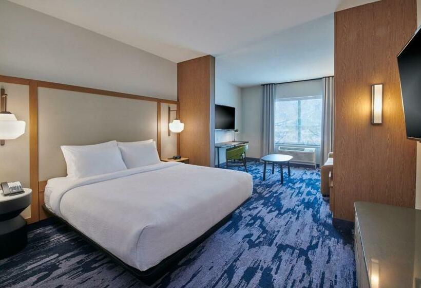 سوئیت با تخت بزرگ, Fairfield Inn & Suites By Marriott Chicago O Hare