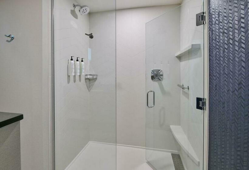 سوئیت با تخت بزرگ, Fairfield Inn & Suites By Marriott Chicago O Hare
