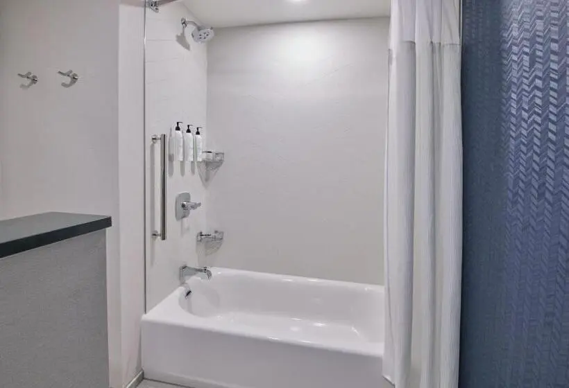 スタンダードルーム, Fairfield Inn & Suites By Marriott Chicago O Hare