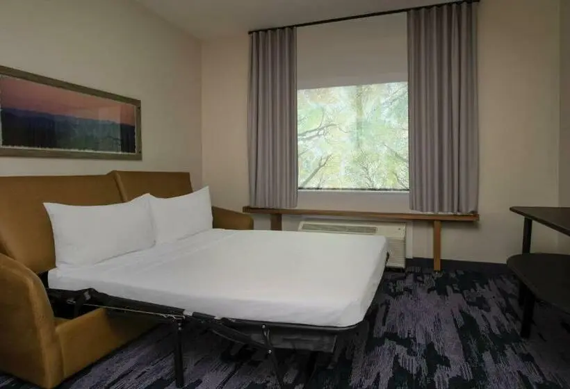 キングサイズベッドのスイートルーム, Fairfield Inn & Suites Duncan