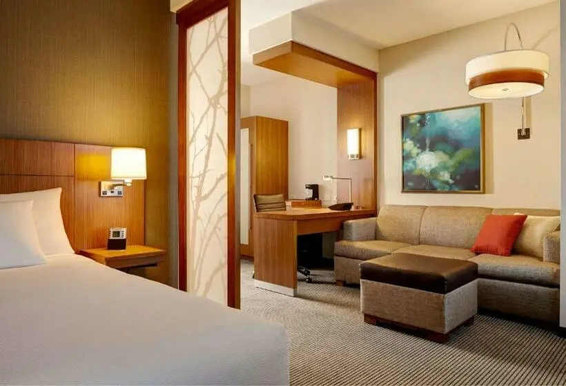 キングサイズベッドのスタンダードルーム, Hyatt Place Melbourne   Palm Bay   I 95