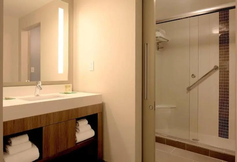 身障者適用キングサイズベッドルーム, Hyatt Place Melbourne   Palm Bay   I 95