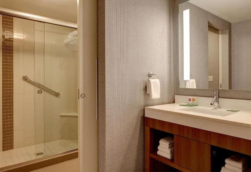 Номер Стандарт Кровать Кинг Адаптированный для Инвалидов, Hyatt Place Melbourne   Palm Bay   I 95