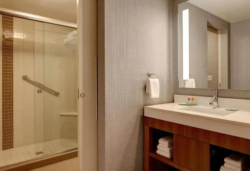 身障者適用キングサイズベッドルーム, Hyatt Place Melbourne   Palm Bay   I 95