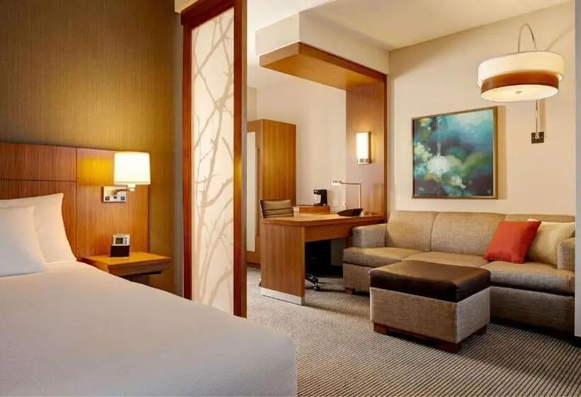 キングサイズベッドのスイートルーム, Hyatt Place Melbourne   Palm Bay   I 95