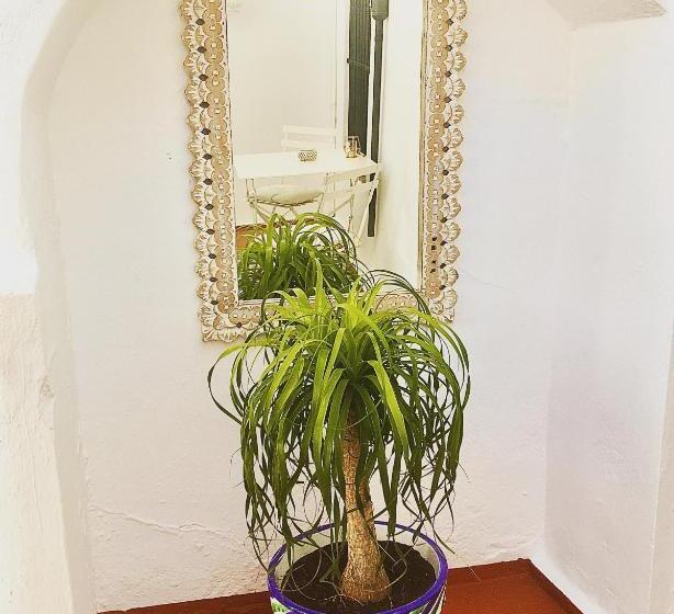 סוויטת ג'וניור עם מרפסת, Numero 9