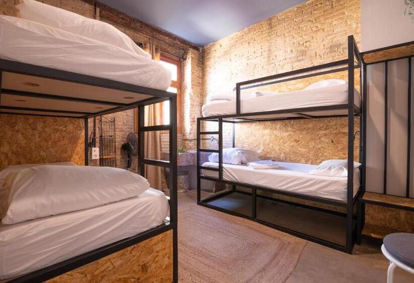 اتاق استاندارد چهار تخته, Birdhouse