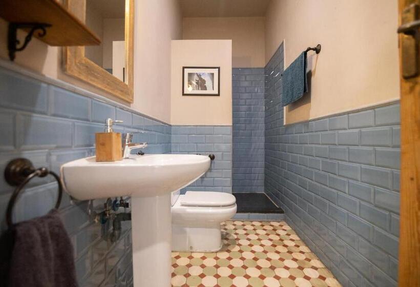 اتاق استاندارد چهارنفره با سرویس بهداشتی مشترک, Birdhouse