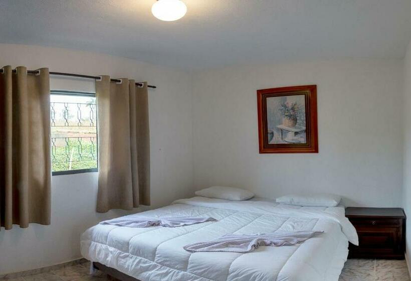 ファミリールーム, Fazenda Colina Dos Sonhos