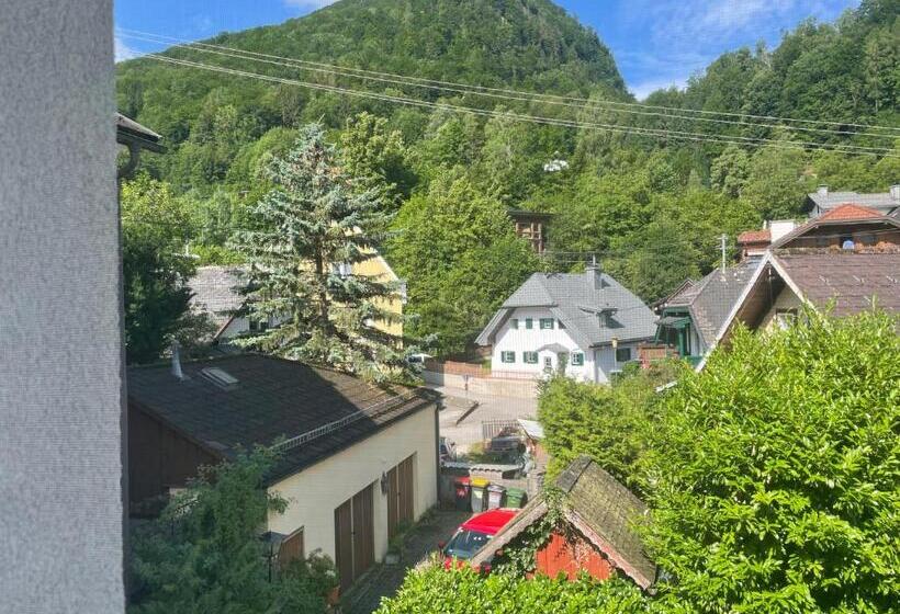 Lejlighed 1 Soveværelse, Loidls Guesthouse