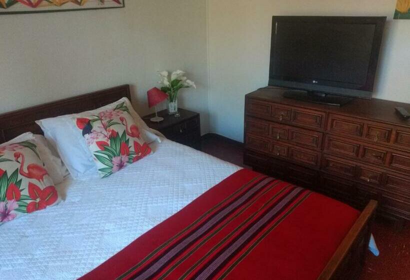 اتاق لوکس, Hostal Nomade