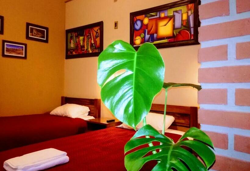 اتاق استاندارد سه نفره, Hostal Cagnapa Restobar