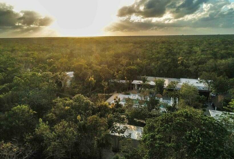 キングサイズベッドのスイートルーム, Jungle Lodge Boutique Hotel   Adults Only