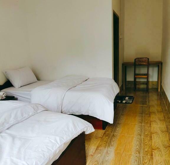 スタンダードルーム, Meexok And Amanda