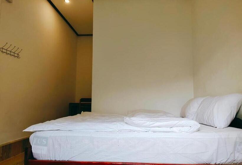 スタンダードルーム, Meexok And Amanda