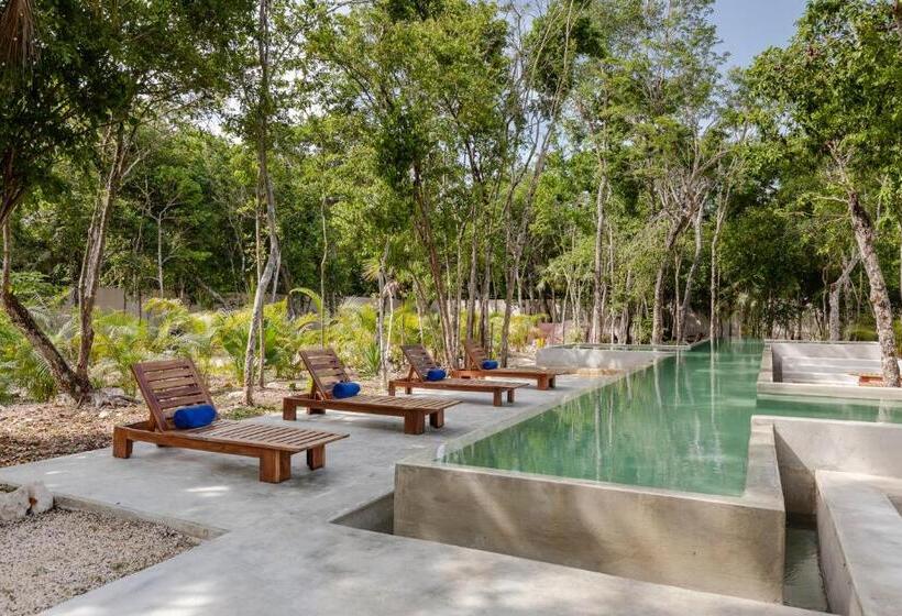 デラックススイート, Jungle Lodge Boutique Hotel   Adults Only