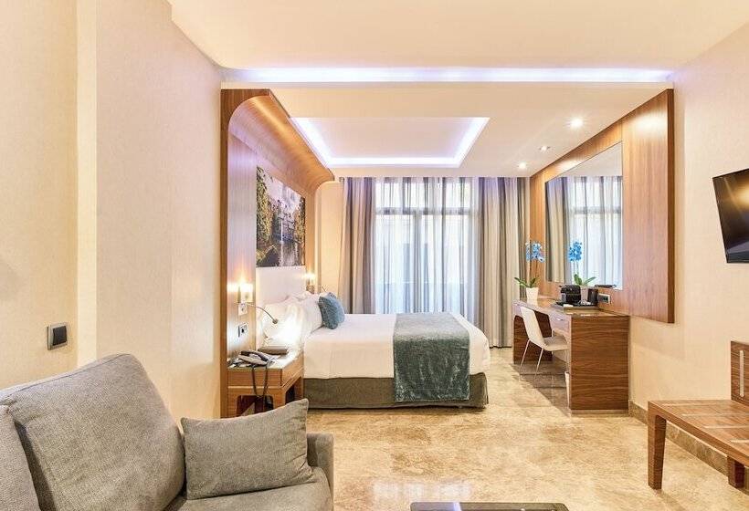 اتاق استاندارد, Vp Jardin De Recoletos