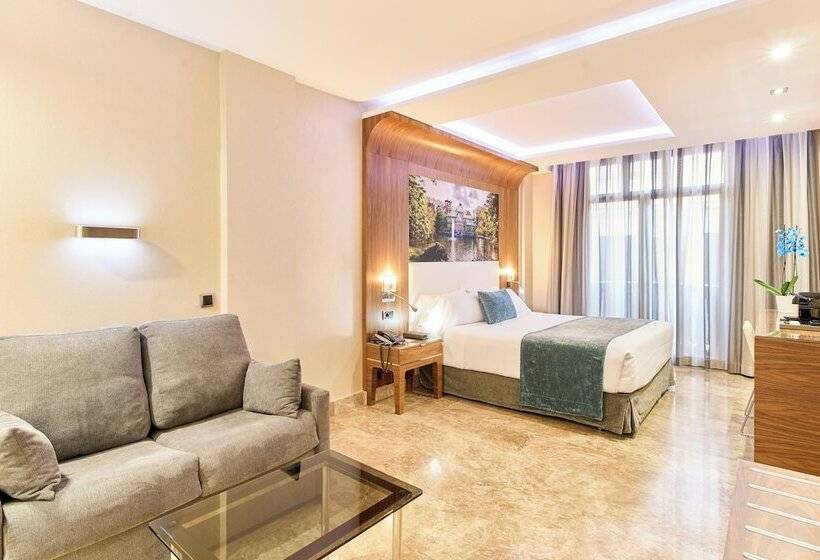 اتاق استاندارد, Vp Jardin De Recoletos