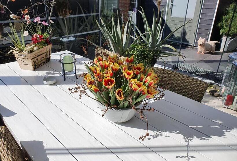 غرفة ديلوكس فردية, B&b Modern Times