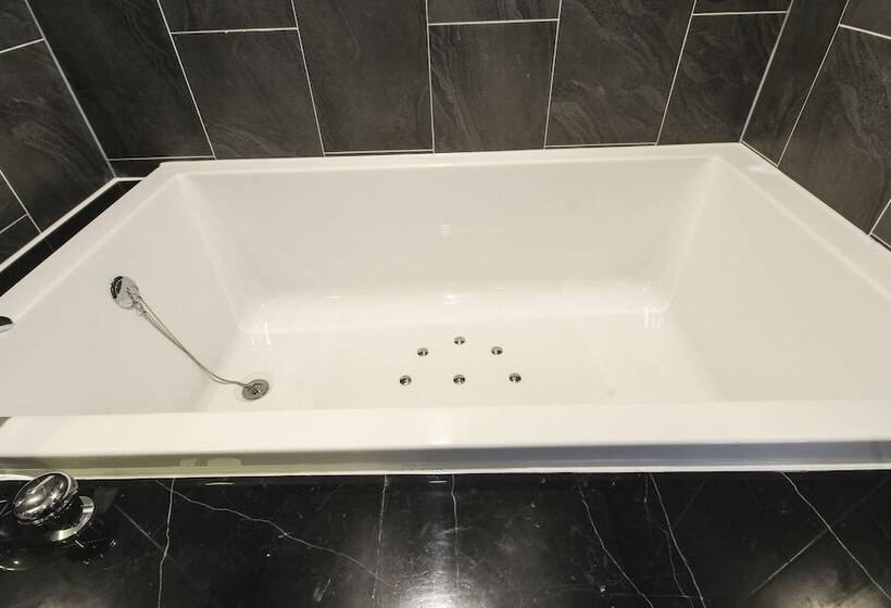 Camera Deluxe Vista Mare, The Brain