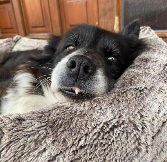 חדר סטנדרט, Penzión Tyché