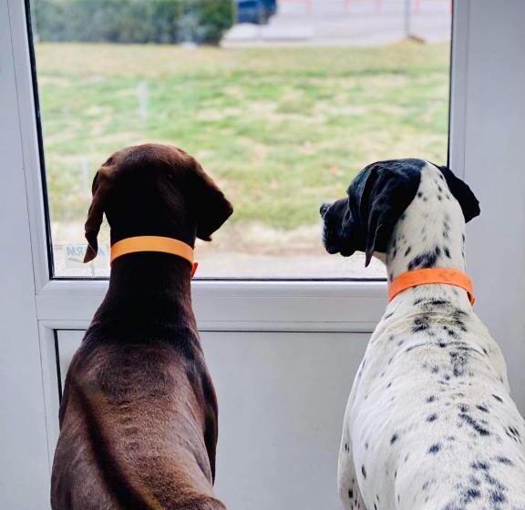 חדר סטנדרט, Penzión Tyché